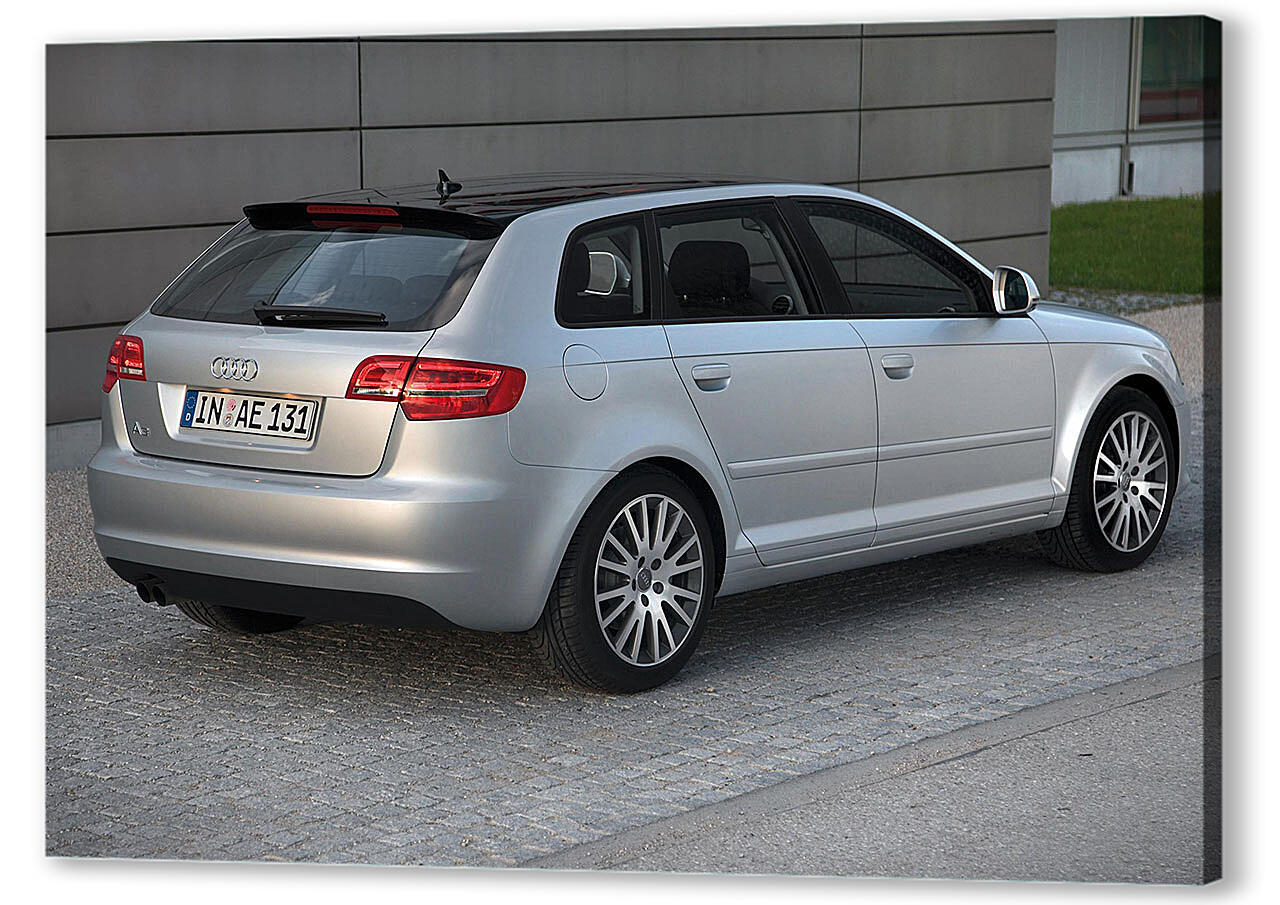 Постер Audi-25
 артикул 51136