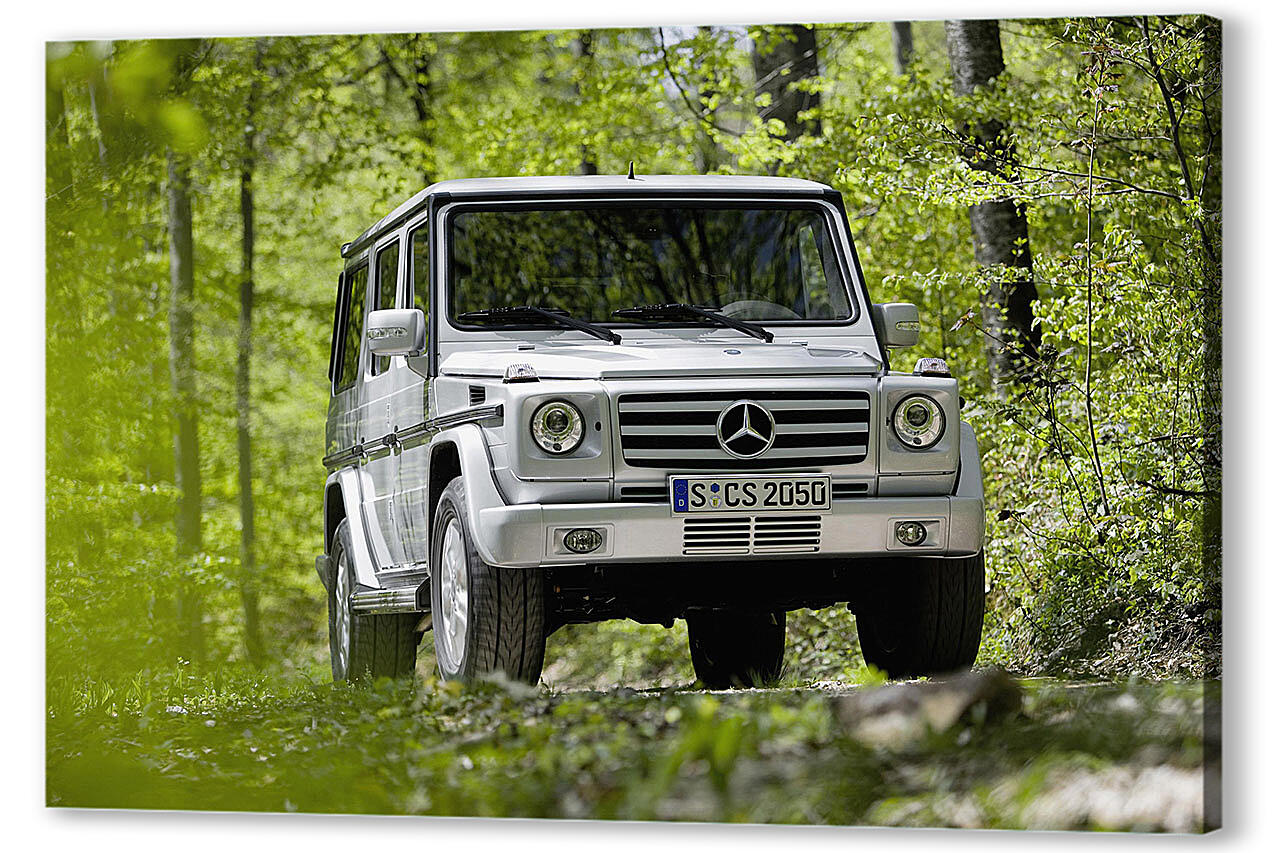 Постер Mercedes-181 артикул 51493