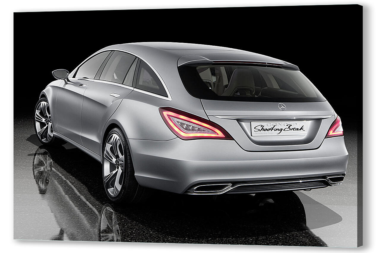 Постер Mercedes-257 артикул 51569