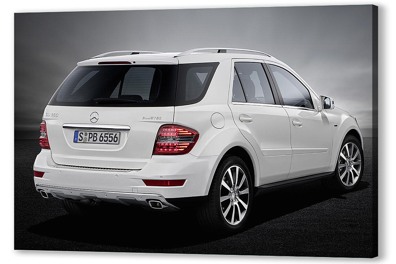 Постер Mercedes-298 артикул 51610