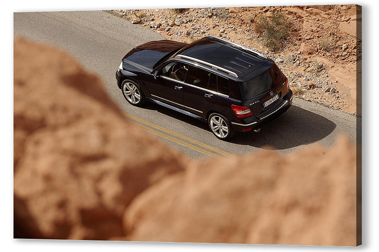 Постер Mercedes-306 артикул 51618