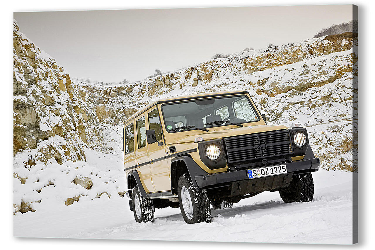 Постер Mercedes-308 артикул 51620