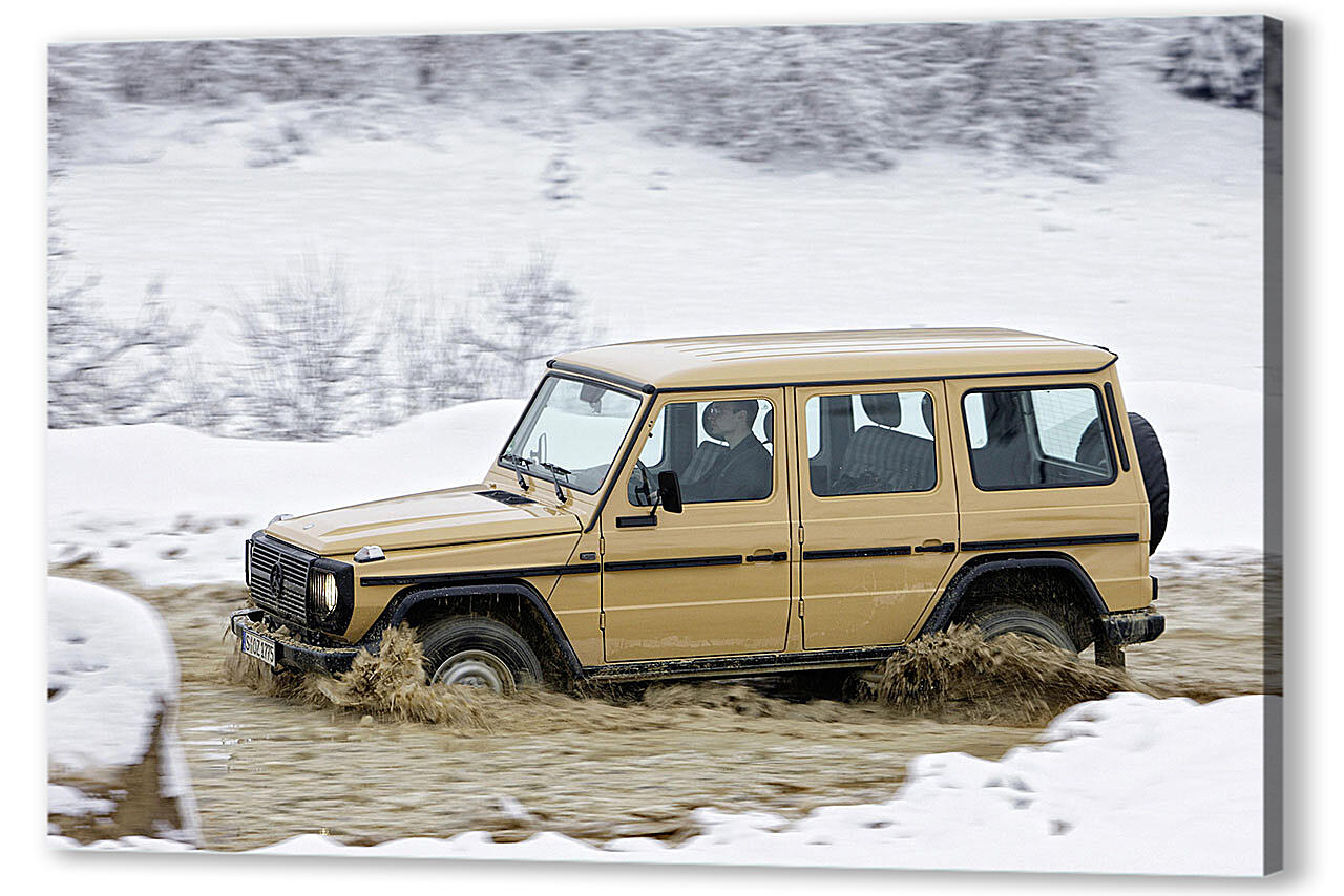 Постер Mercedes-309 артикул 51621