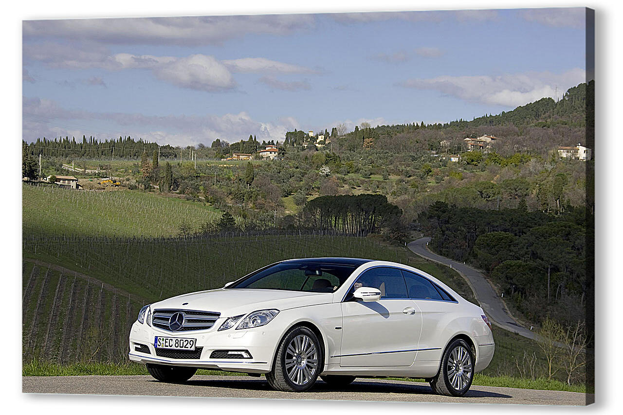 Постер Mercedes-363 артикул 51675