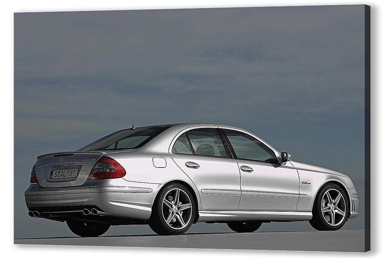 Постер Mercedes-391 артикул 51703