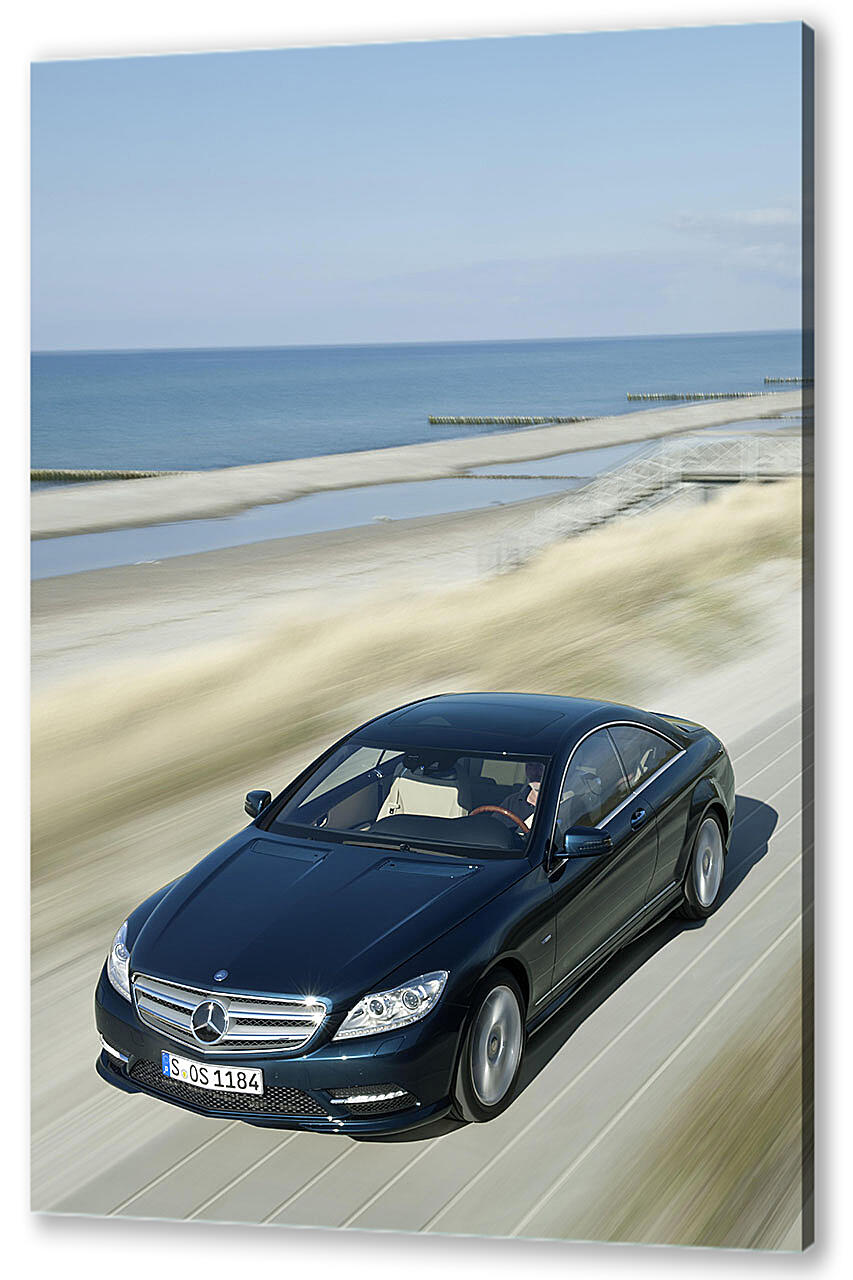 Постер Mercedes-419 артикул 51731