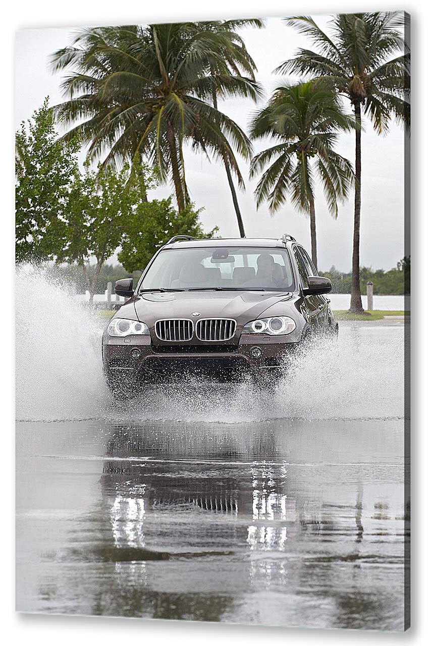Постер БМВ (BMW)-117 артикул 52373