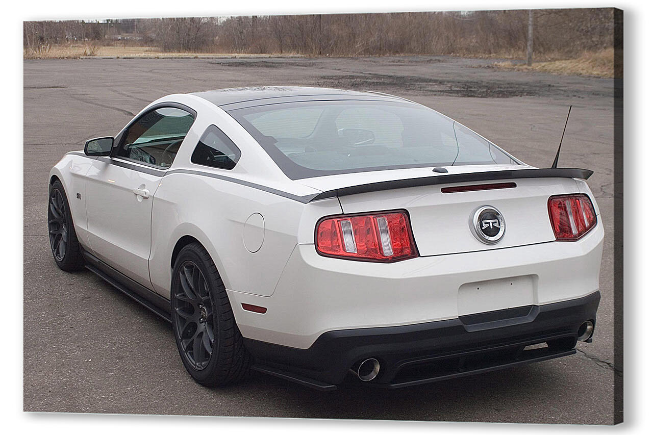 Постер Mustang-87
 артикул 52792