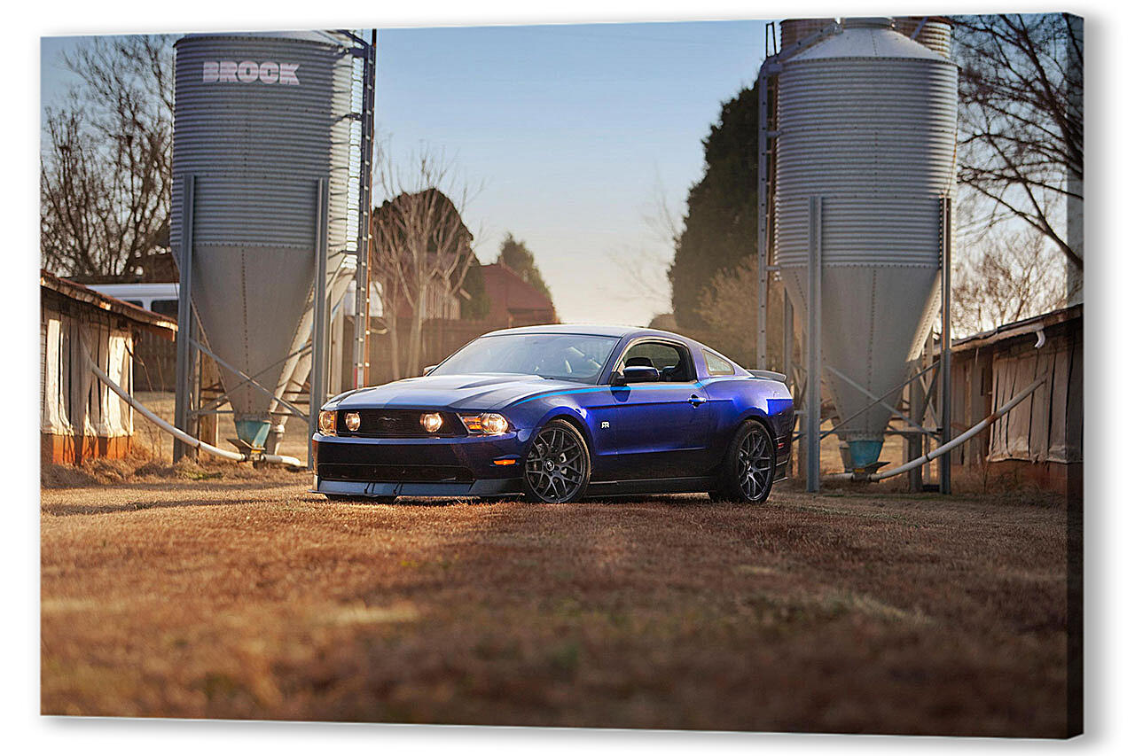 Постер Mustang-94 артикул 52799