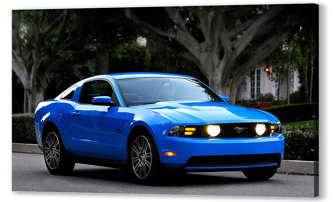Постер Mustang-101 артикул 52806