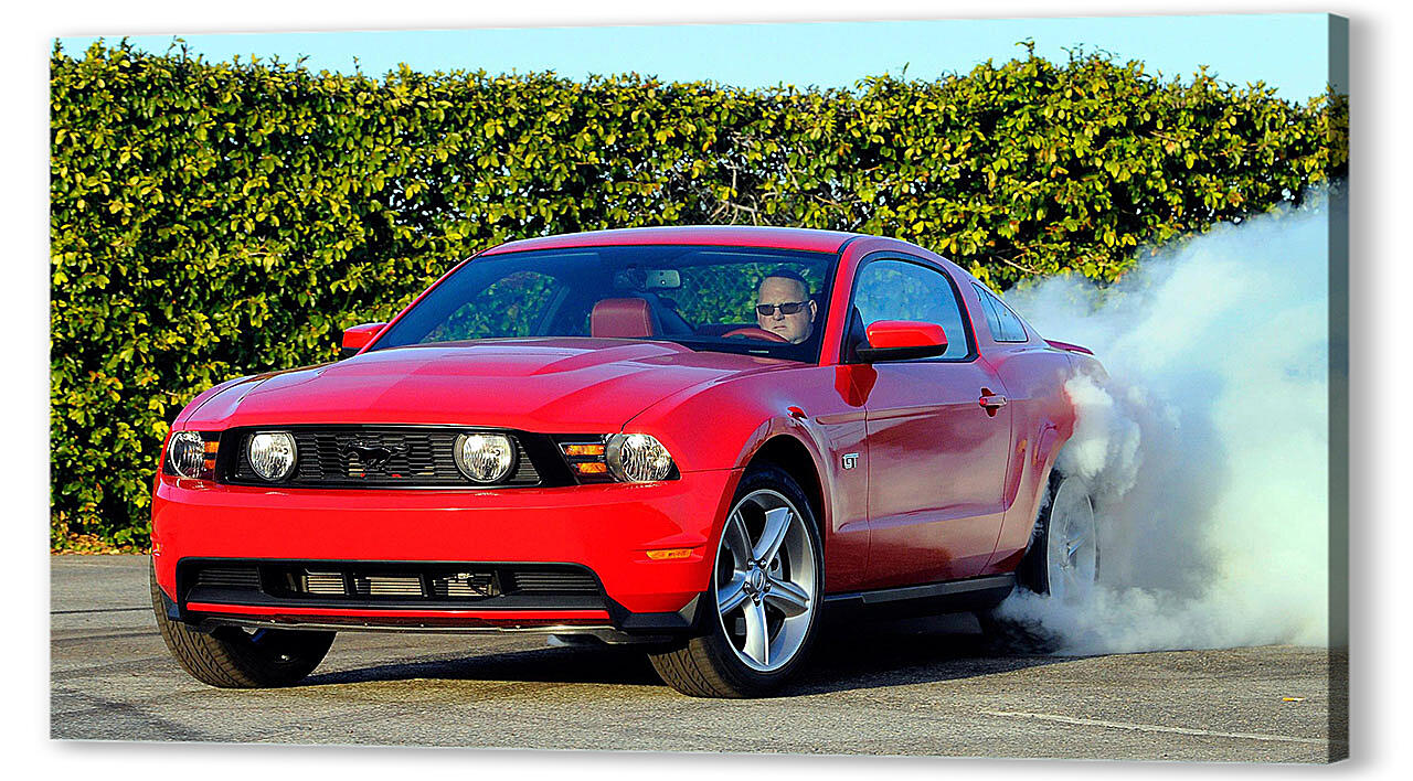 Постер Mustang-110 артикул 52815