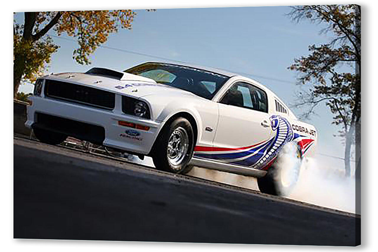 Постер (плакат) Mustang-195 артикул 52900