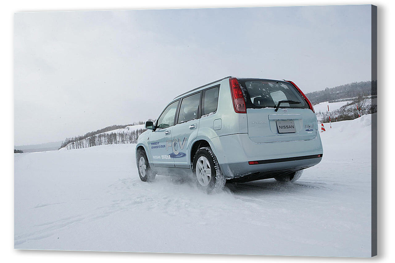 Постер Nissan-9 артикул 53038