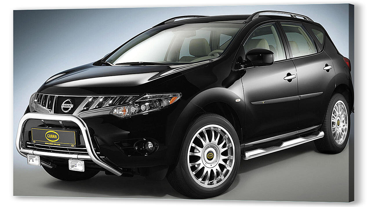 Постер Nissan-89 артикул 53118