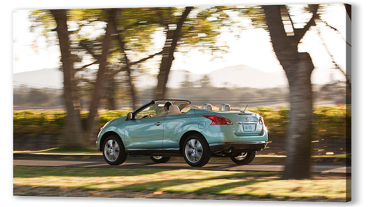 Постер Nissan-98 артикул 53127