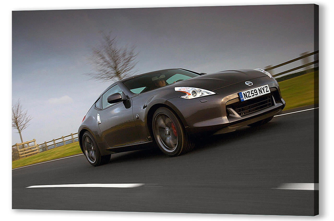 Постер Nissan-256 артикул 53285