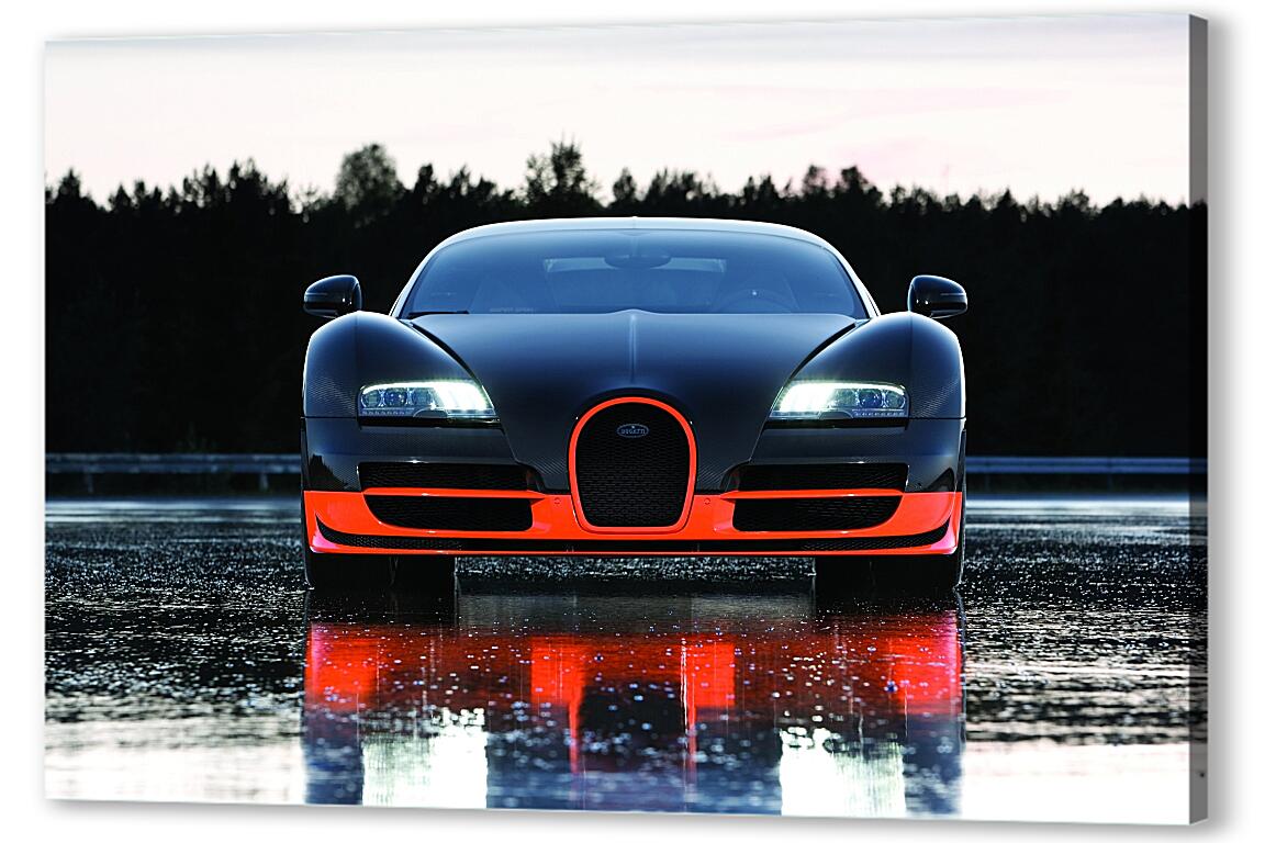Постер Бугатти Вейрон (Bugatti Veyron) артикул 7162
