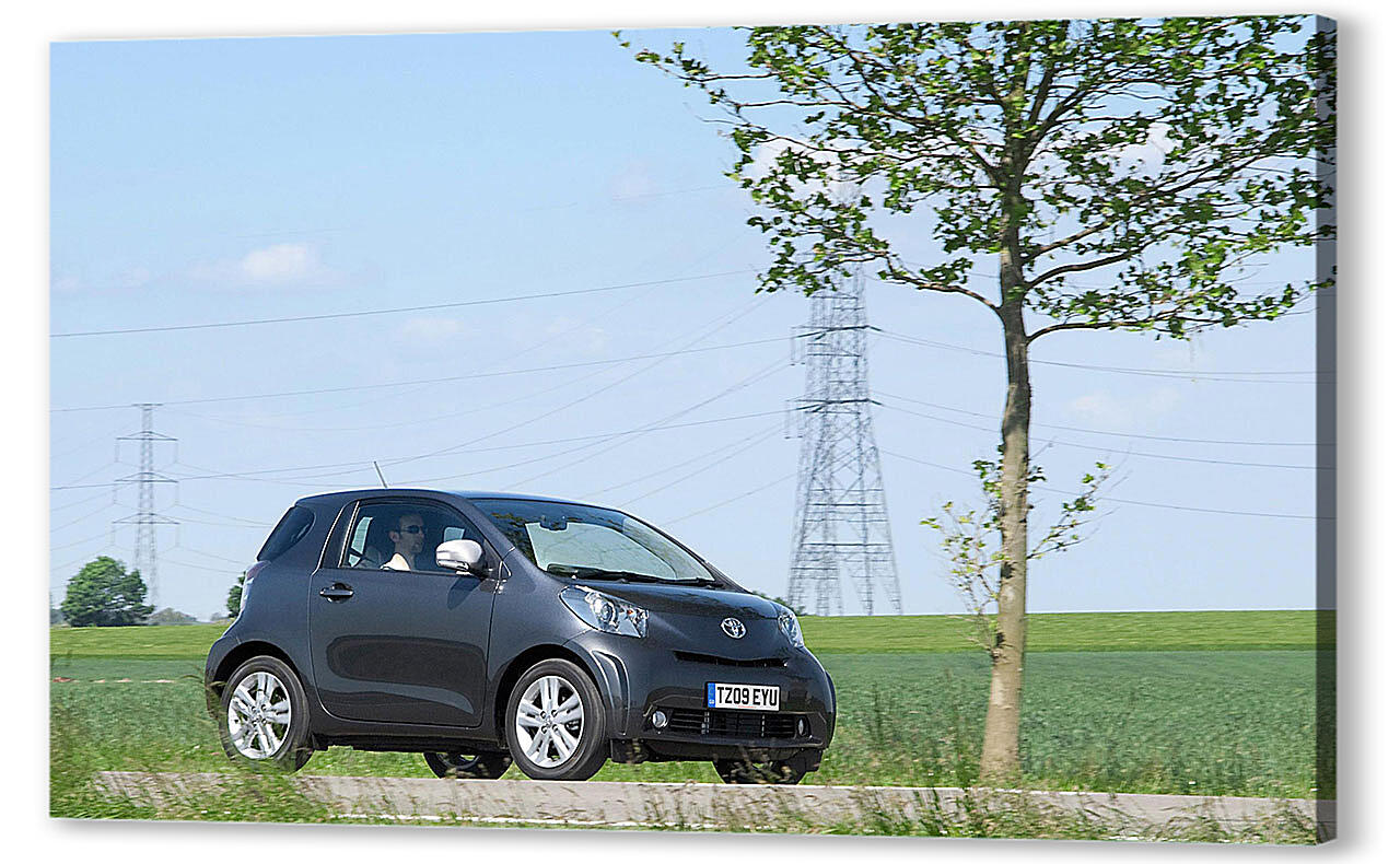 Постер Toyota-110 артикул 55328