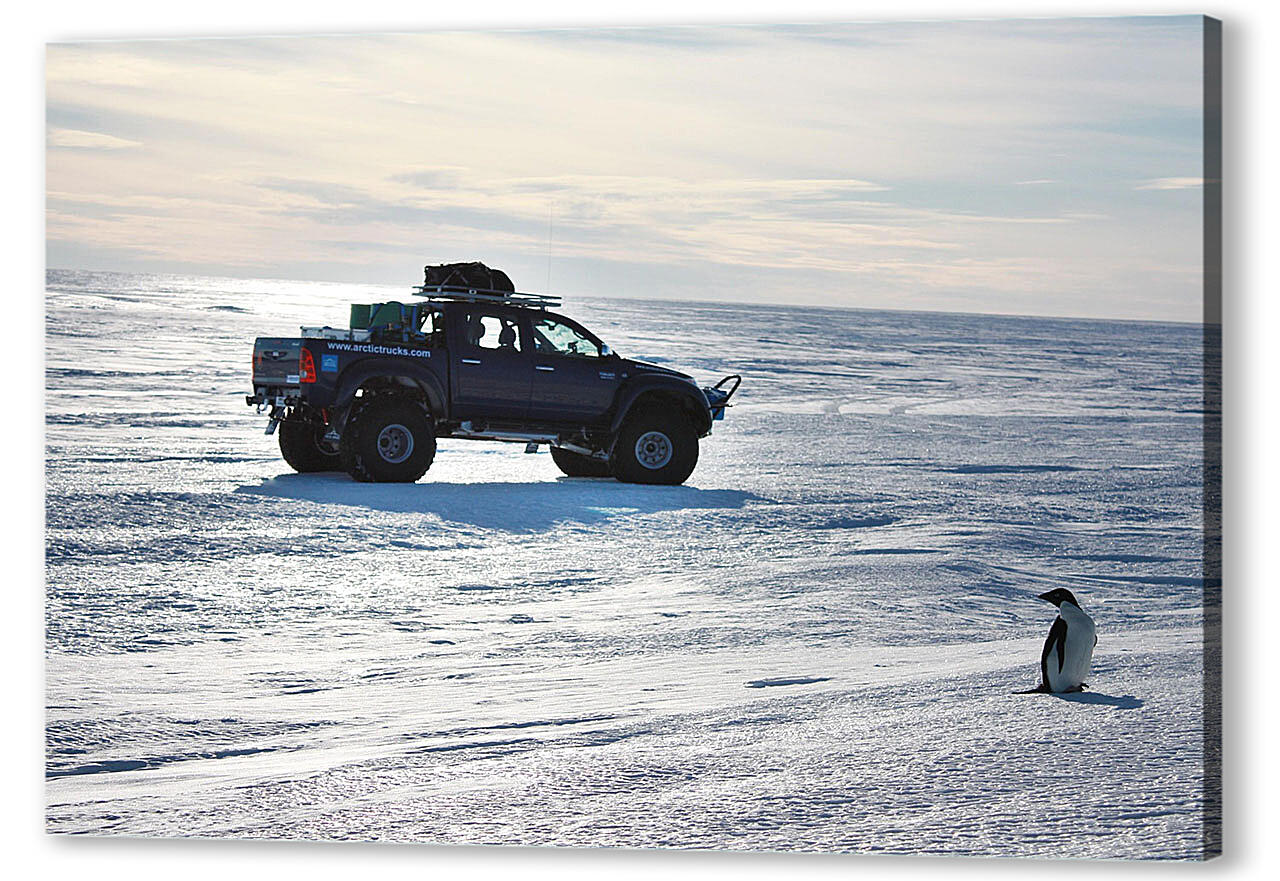 Постер Toyota-125 артикул 55343