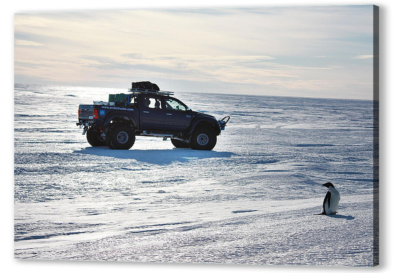 Постер (плакат) Toyota-125 артикул 55343