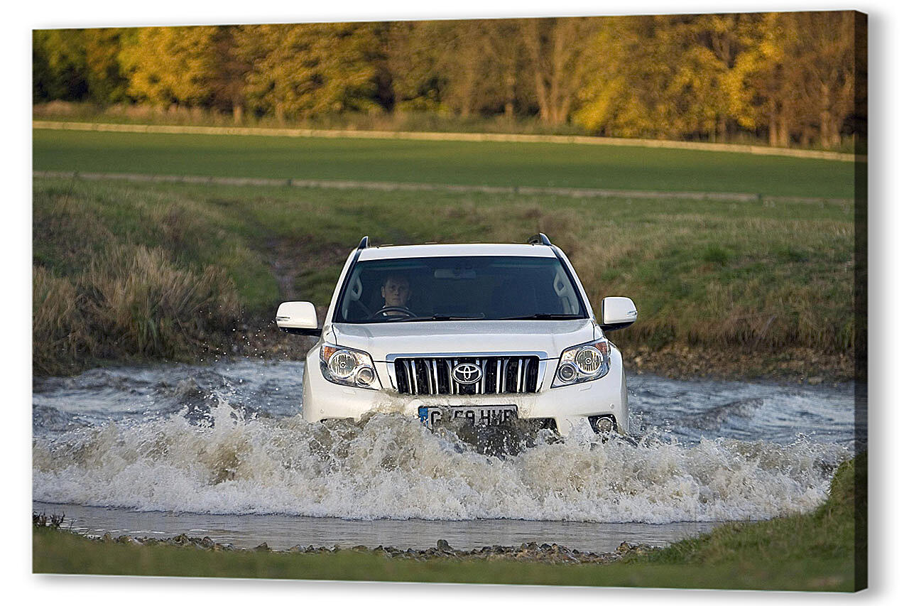 Постер Toyota-307 артикул 55525