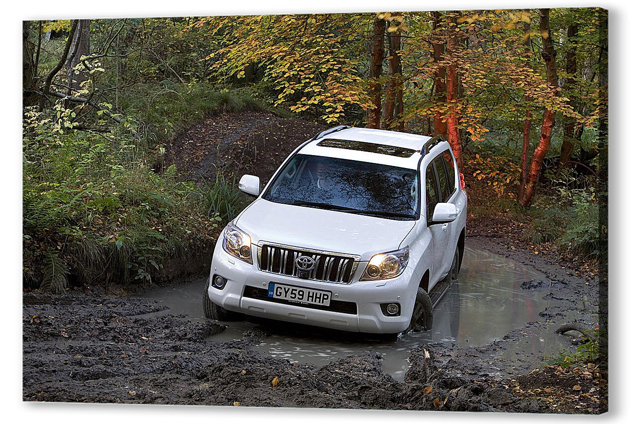 Постер Toyota-308 артикул 55526