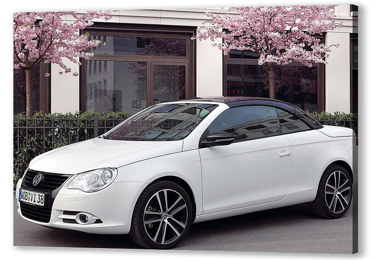 Постер Volkswagen-317 артикул 56276