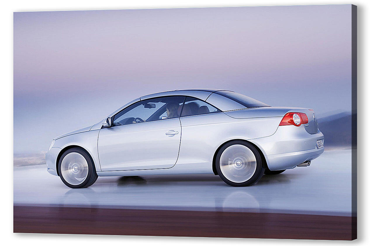 Постер Volkswagen-320 артикул 56279