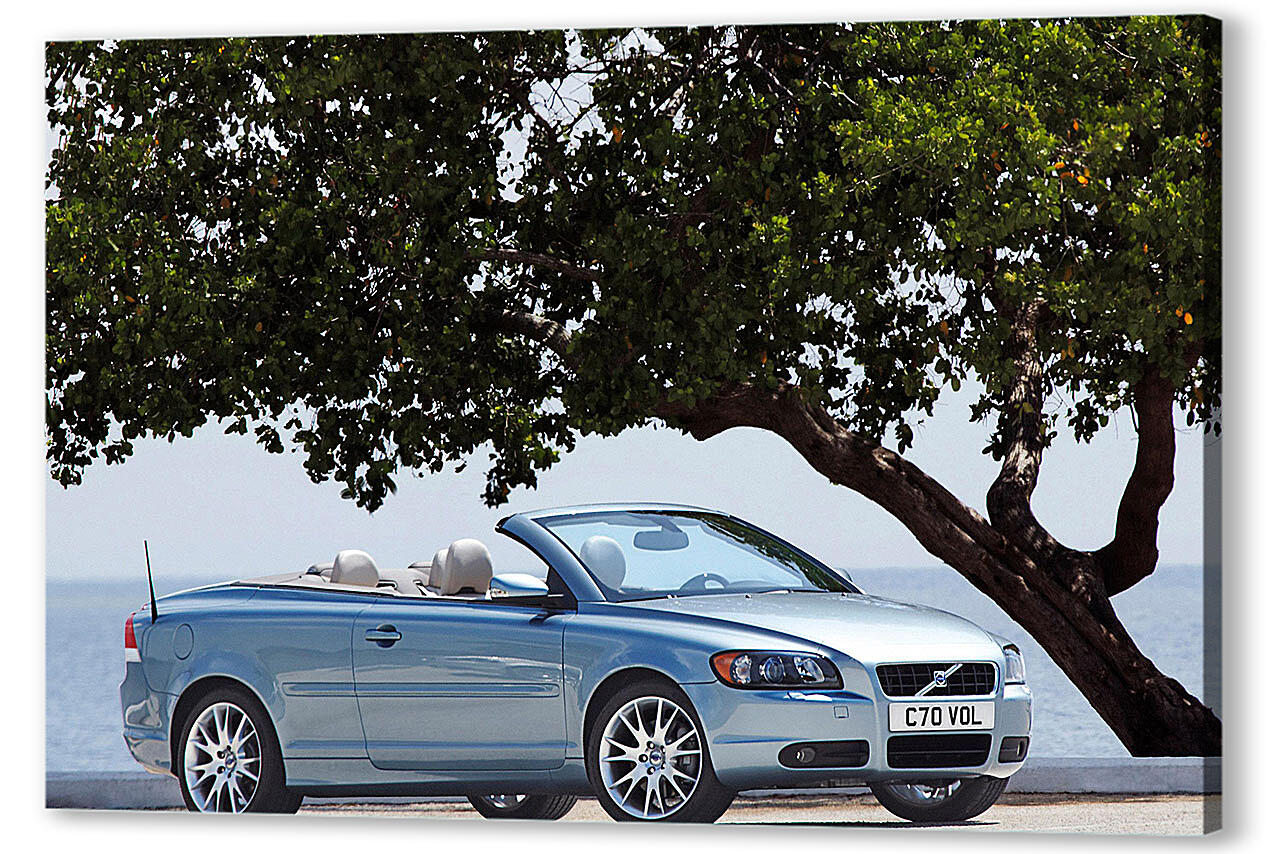 Постер Volvo-119 артикул 57967