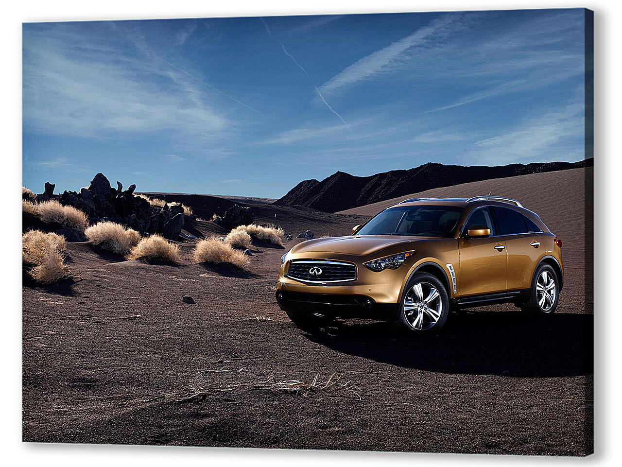 Постер Infiniti-9 артикул 58322