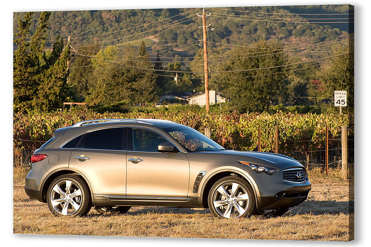 Постер Infiniti-10 артикул 58323