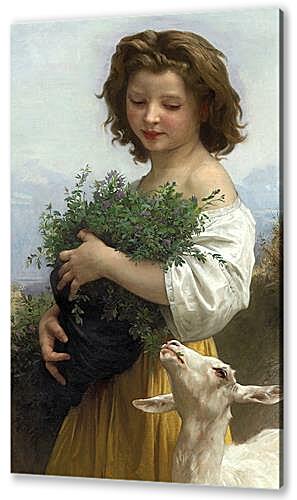 Постер Little Esmeralda
 артикул 60156