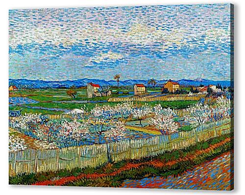 Постер (плакат) Peach Trees In Blossom
 артикул 60223