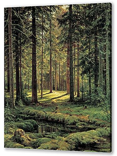 Постер (плакат) Хвойный лес. Солнечный день	
 артикул 60715