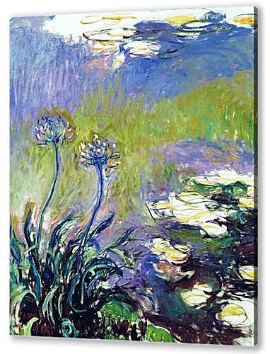 Постер Agapanthus артикул 61852