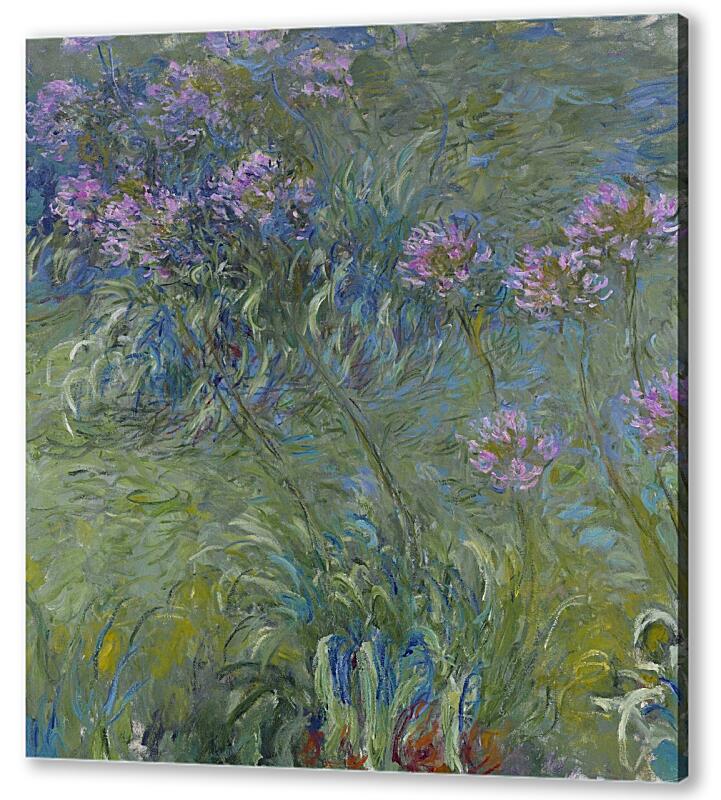 Постер (плакат) Agapanthus, 1914-17 артикул 67527