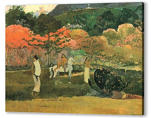 Постер Frauen und Schimmel	
 артикул 70069