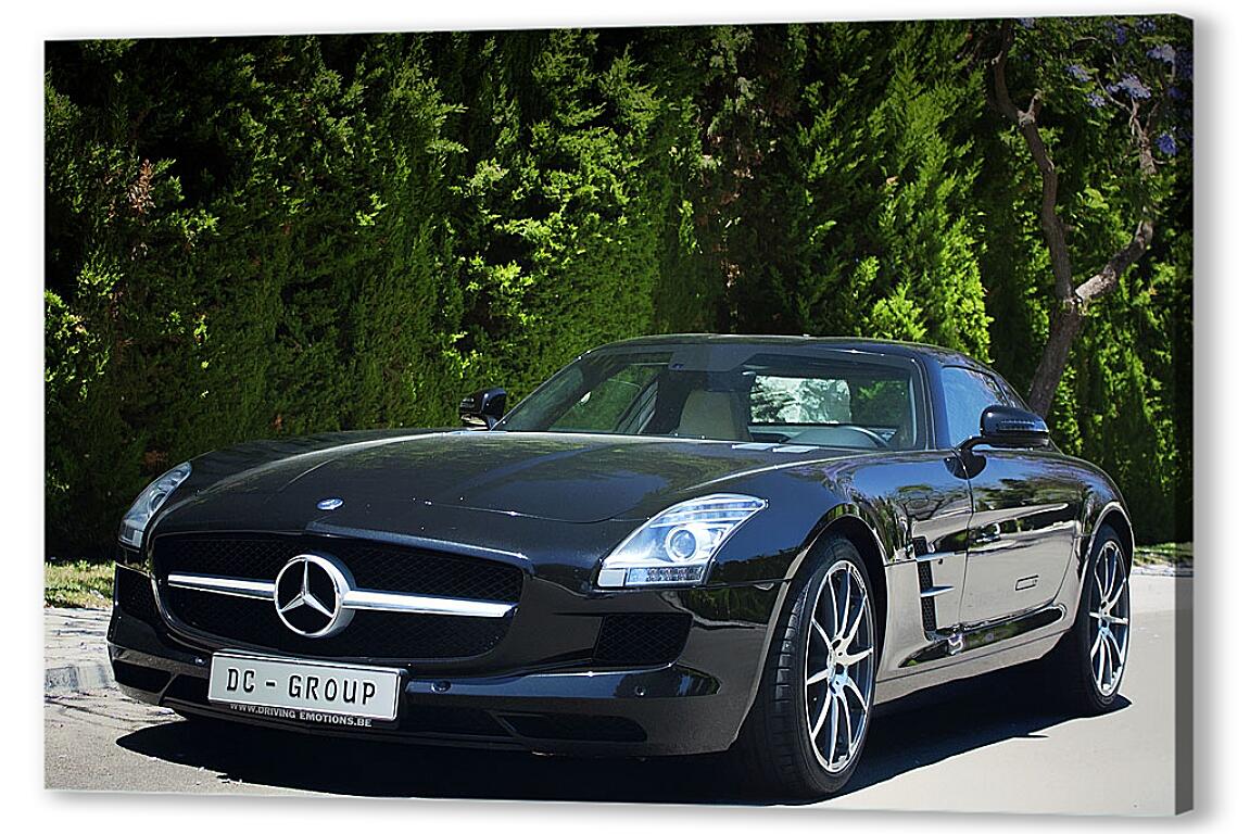 Постер Mercedes SLS AMG (Мерседес чайка) артикул 7228