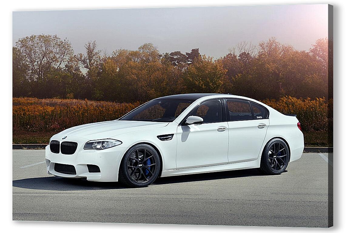 Постер (плакат) BMW M5 белый артикул 7253