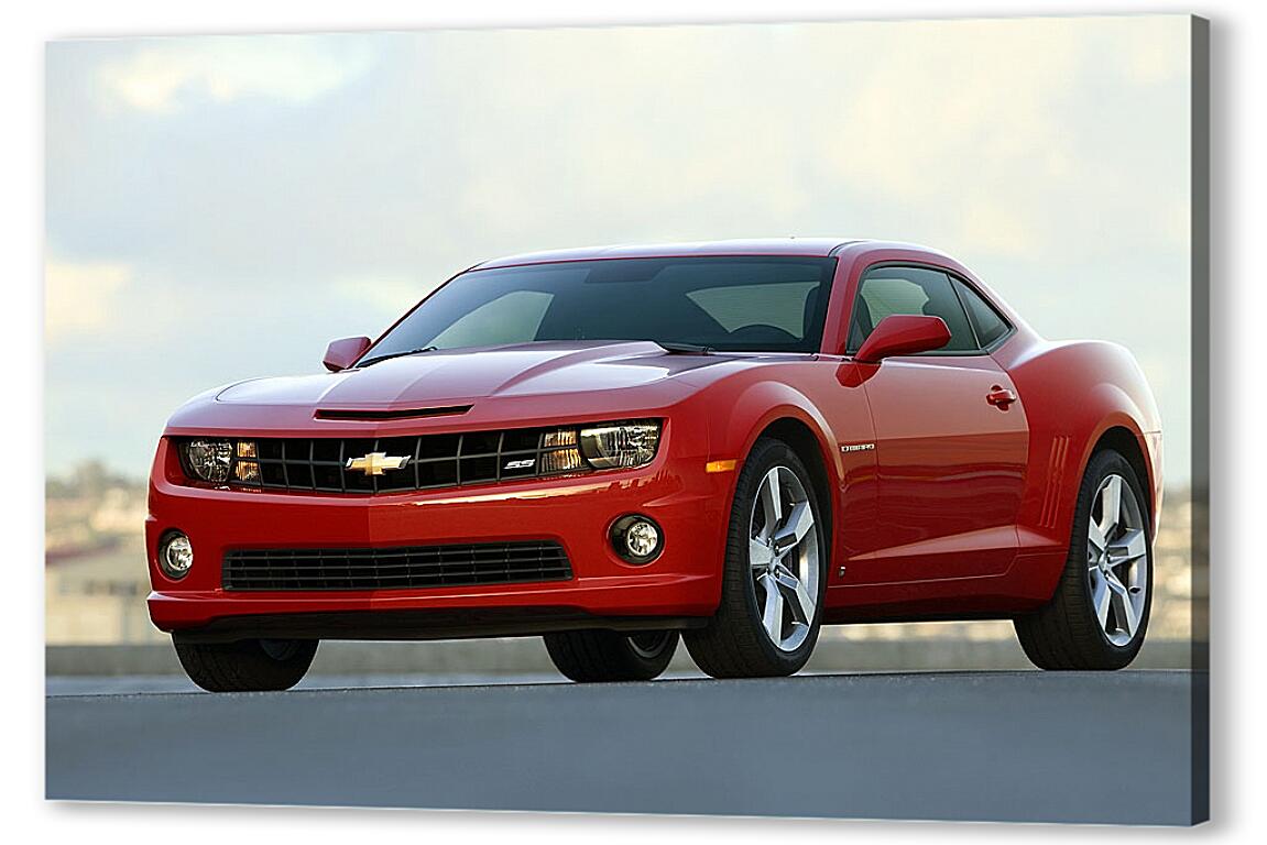 Постер Chevrolet Camaro (Шевроле Камаро) артикул 7273
