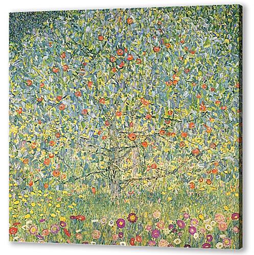 Постер Apfelbaum I	
 артикул 73023