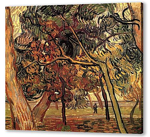 Постер Study of Pine Trees
 артикул 74052