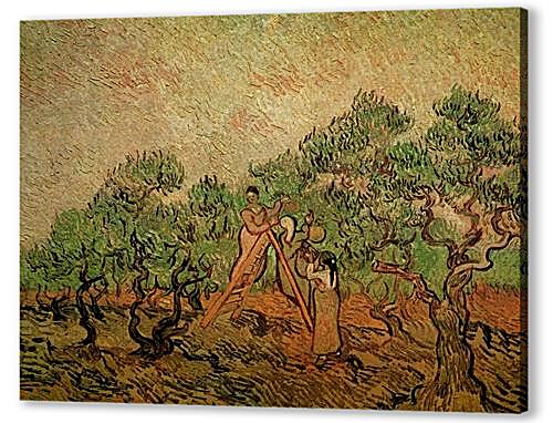 Постер Olive Picking 3
 артикул 74065
