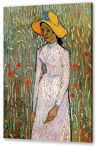 Постер (плакат) Young Girl Standing Against a Background of Wheat
 артикул 74175