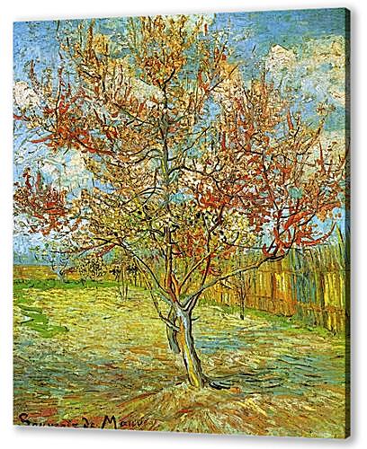 Постер (плакат) Pink Peach Tree in Blossom Reminiscence of Mauve
 артикул 74243