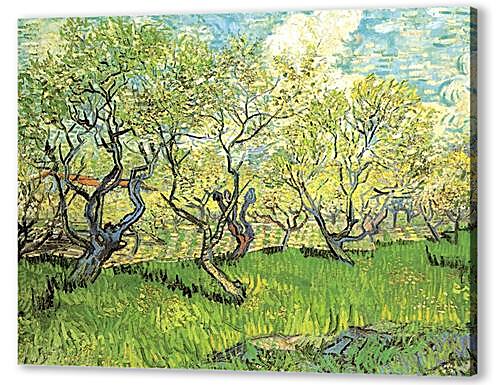 Постер (плакат) Orchard in Blossom 2
 артикул 74248