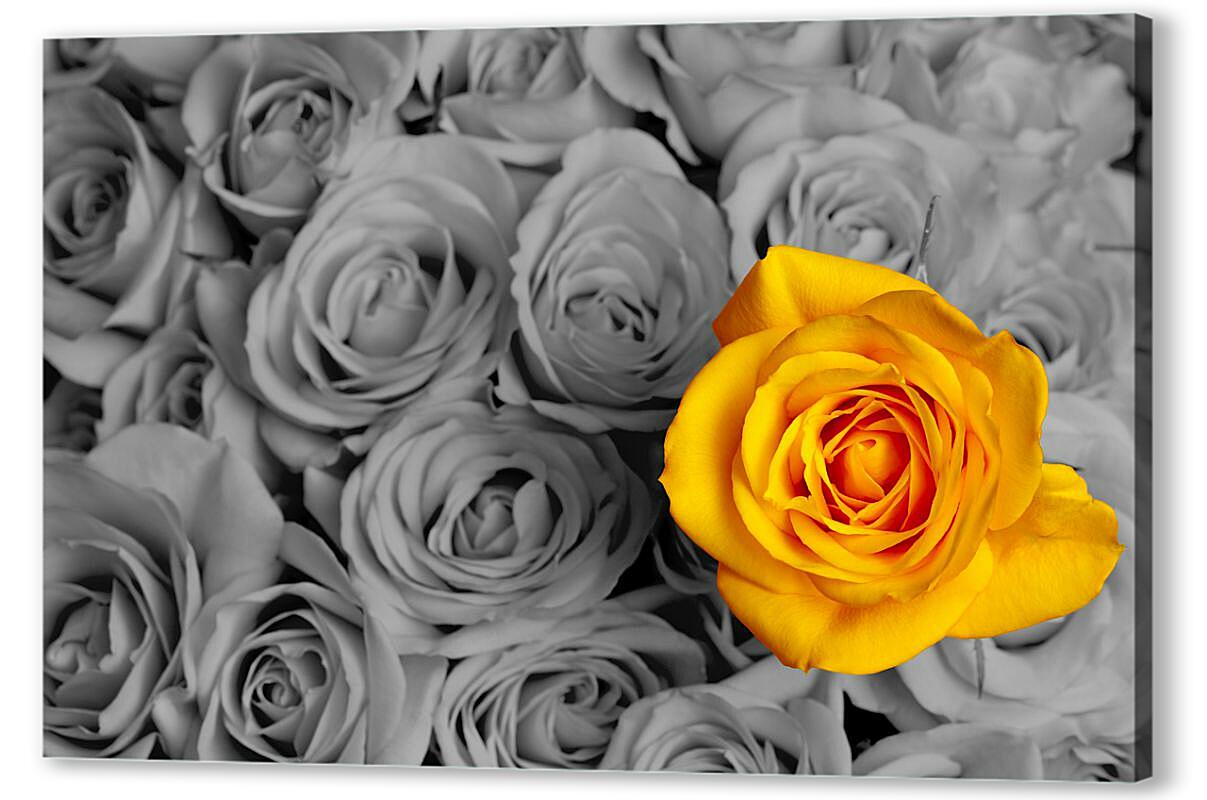 Постер (плакат) Жёлтая роза артикул 06816-HD