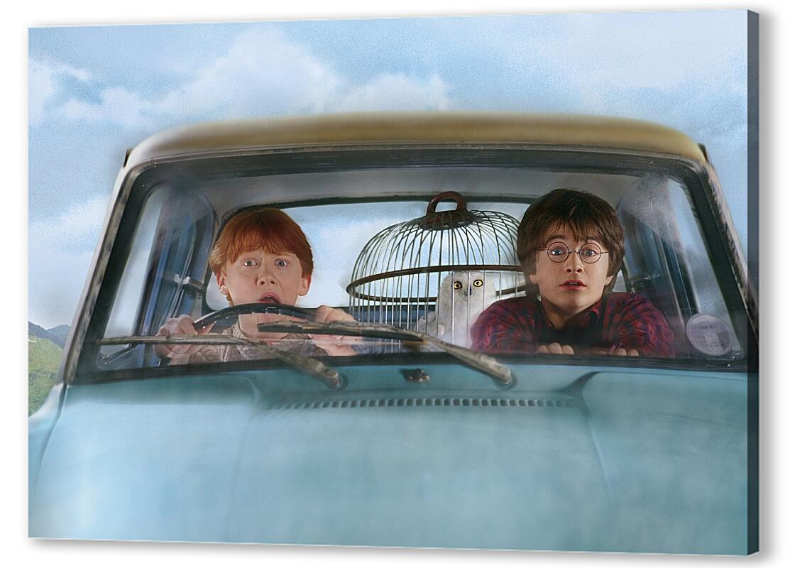 Постер (плакат) Harry Potter and the Chamber of Secrets артикул 06619