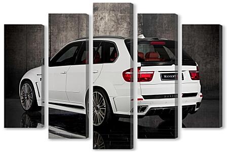 Модульная картина - Белый БМВ (BMW X5 E70)