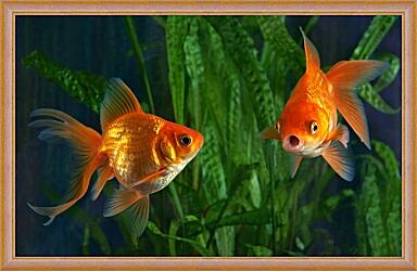 Картина - Золотая рыбка